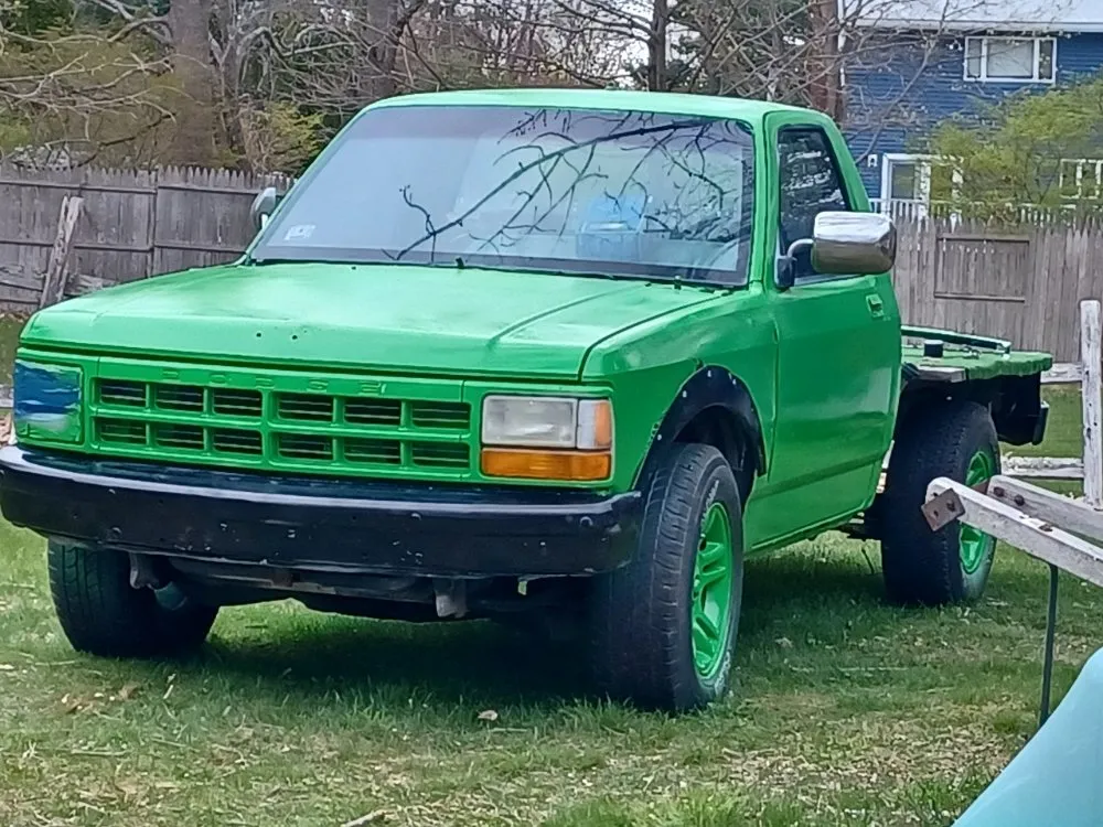 Reliable yard cleanup service with custom design in Taunton, MA by Dupree Handyman Services