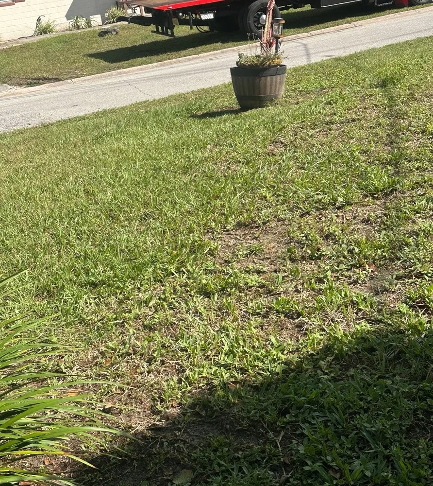 Trusted residential landscaping in Jacksonville, FL by Duque Landscaping