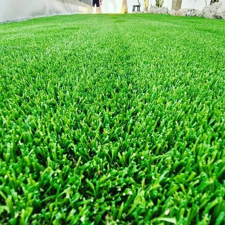 Affordable landscape design in Sarasota, FL - Durable Lawn