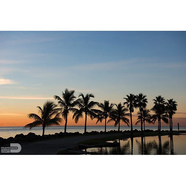 Professional lawn mowing service for outdoor upgrades in Pompano Beach, FL by Durafield