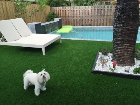 Trusted lawn care service experts serving Pompano Beach, FL - Durafield