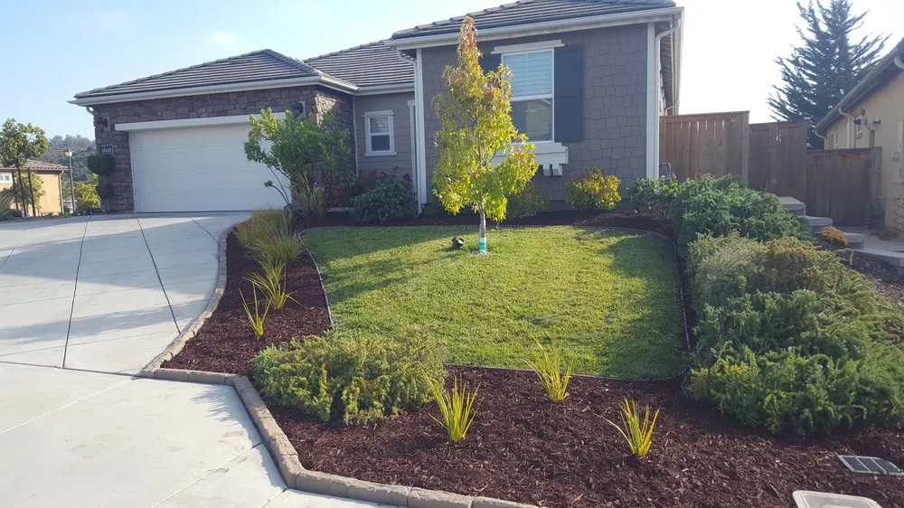 Professional landscape installation for residential properties across Santa Maria, CA - Duraground Landscapes