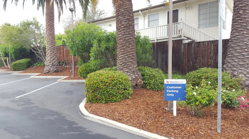 Professional yard cleanup service in Santa Maria, CA - Duraground Landscapes