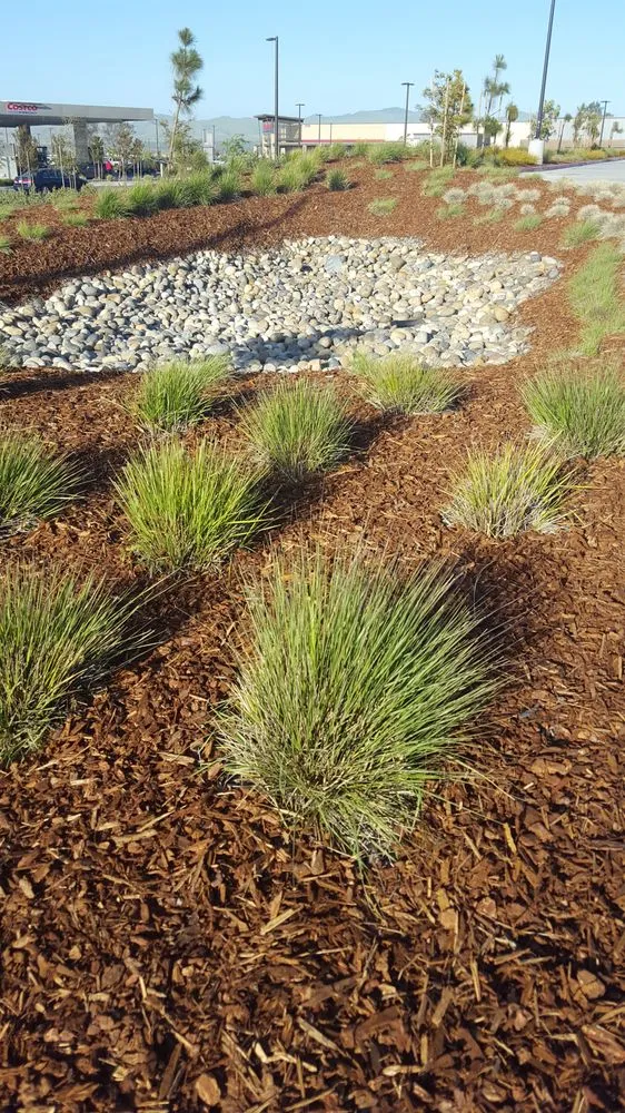 Custom yard maintenance experts serving Santa Maria, CA - Duraground Landscapes
