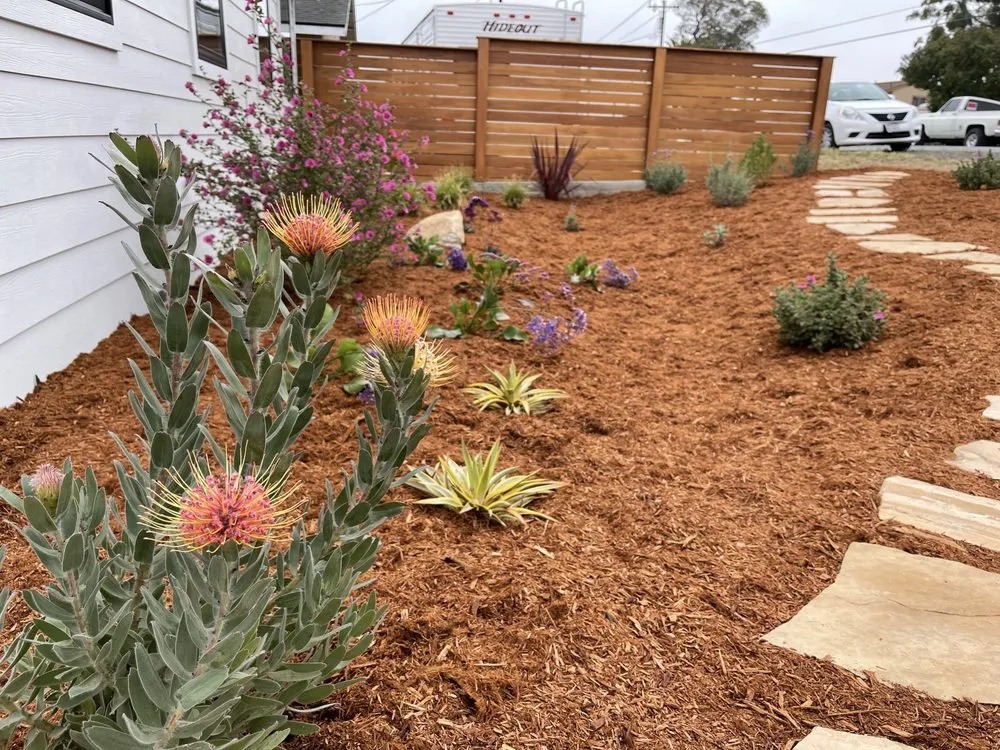 Local lawn care service in Santa Maria, CA by Duraground Landscapes