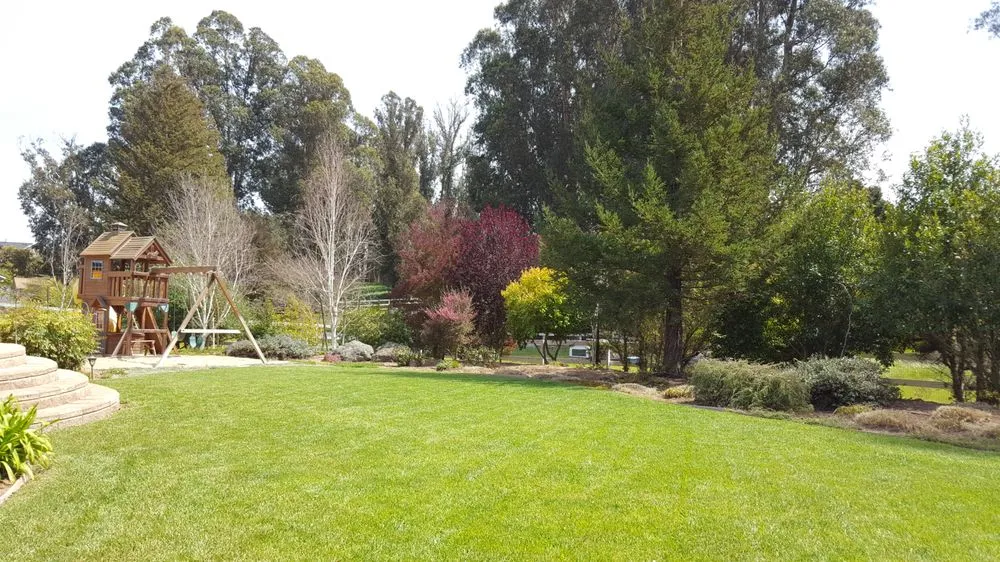 Top-rated lawn mowing service for residential properties in Santa Maria, CA by Duraground Landscapes