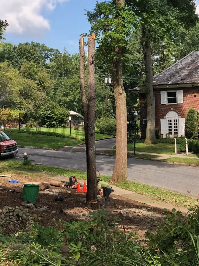 Affordable lawn mowing service in West Orange, NJ - Duran & Son Landscaping