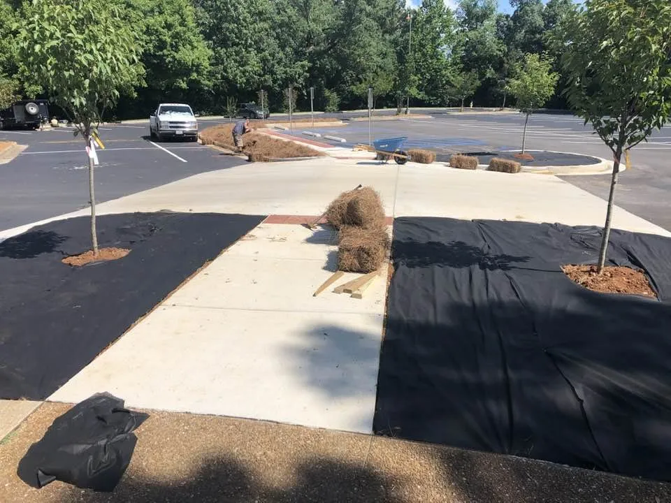 Professional landscaping services in Huntsville, AL by Duran Brothers Landscaping