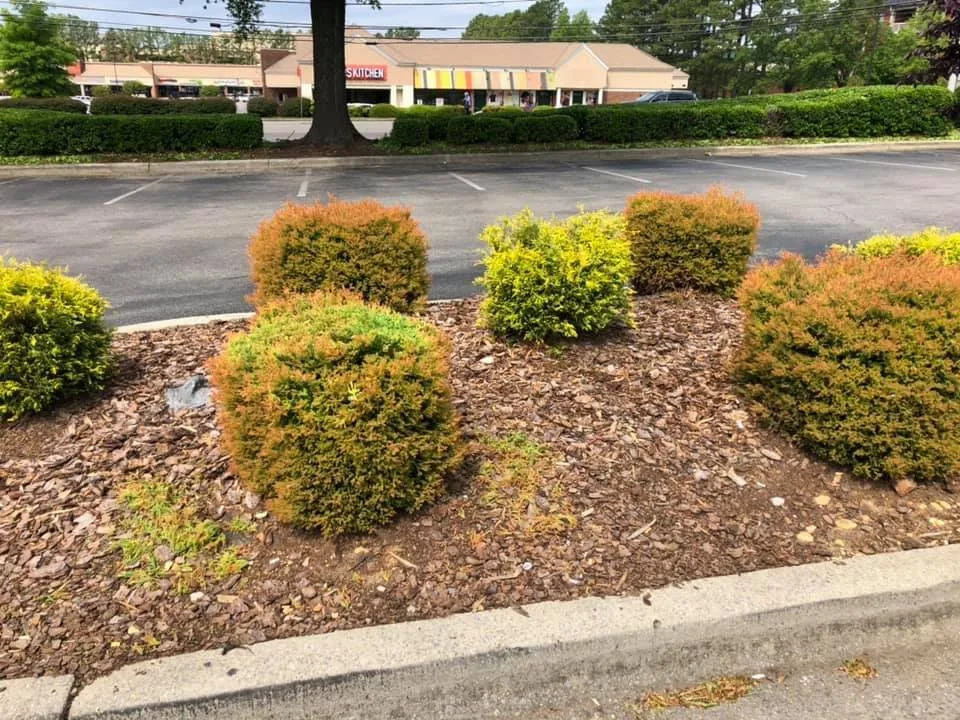 Top-rated lawn care service experts serving Huntsville, AL - Duran Brothers Landscaping