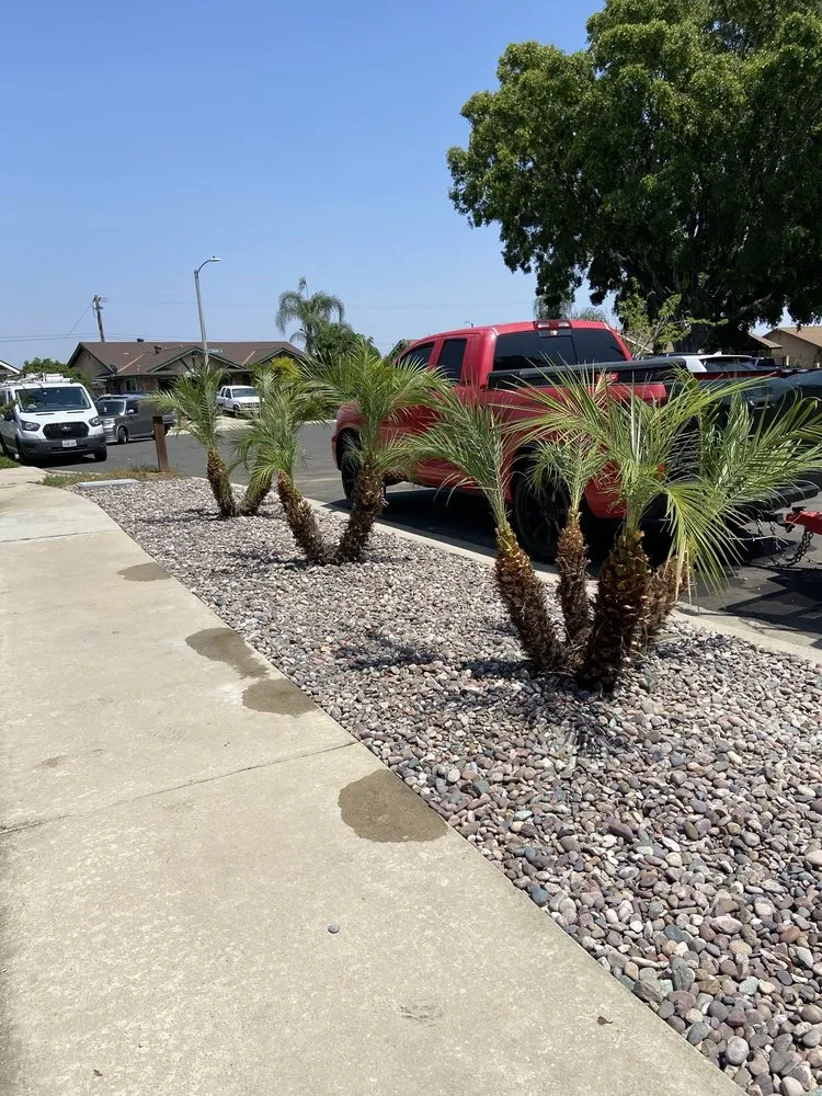 Affordable yard maintenance experts serving Rialto, CA - Duran Jr Landscape & Lawn