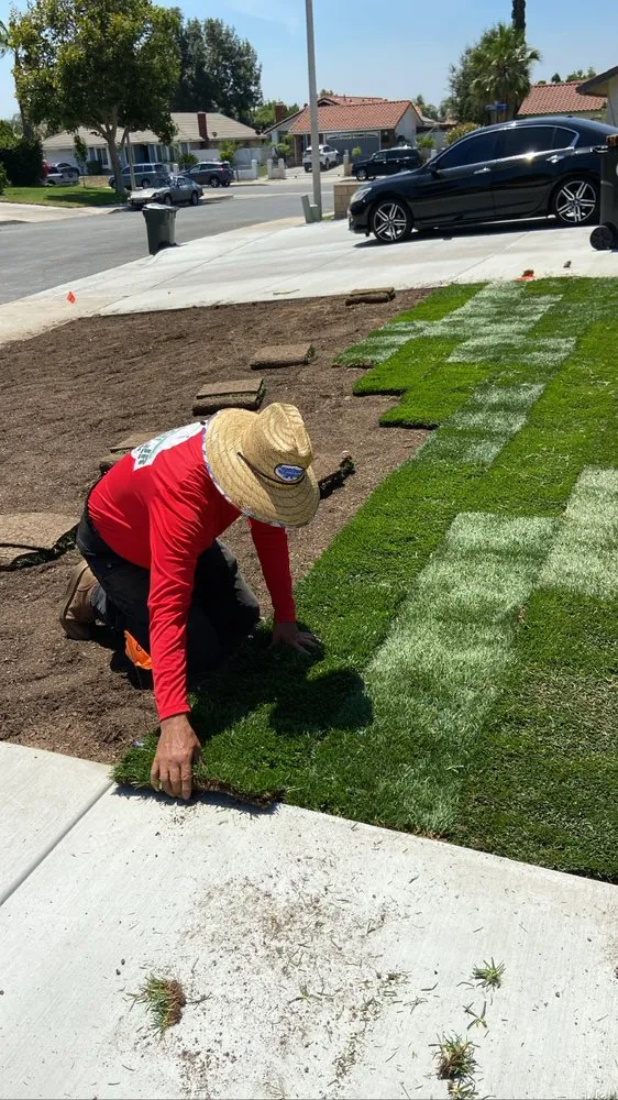 Affordable yard maintenance experts serving Rialto, CA - Duran Jr Landscape & Lawn