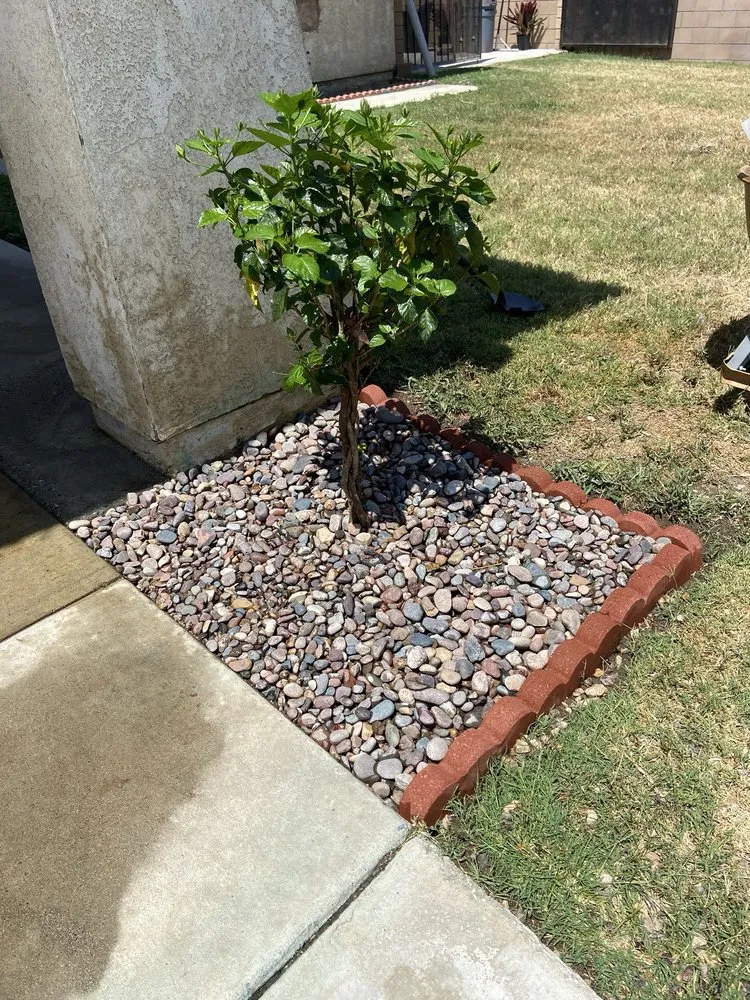 Trusted lawn care service for beautiful yards across Rialto, CA - Duran Jr Landscape & Lawn