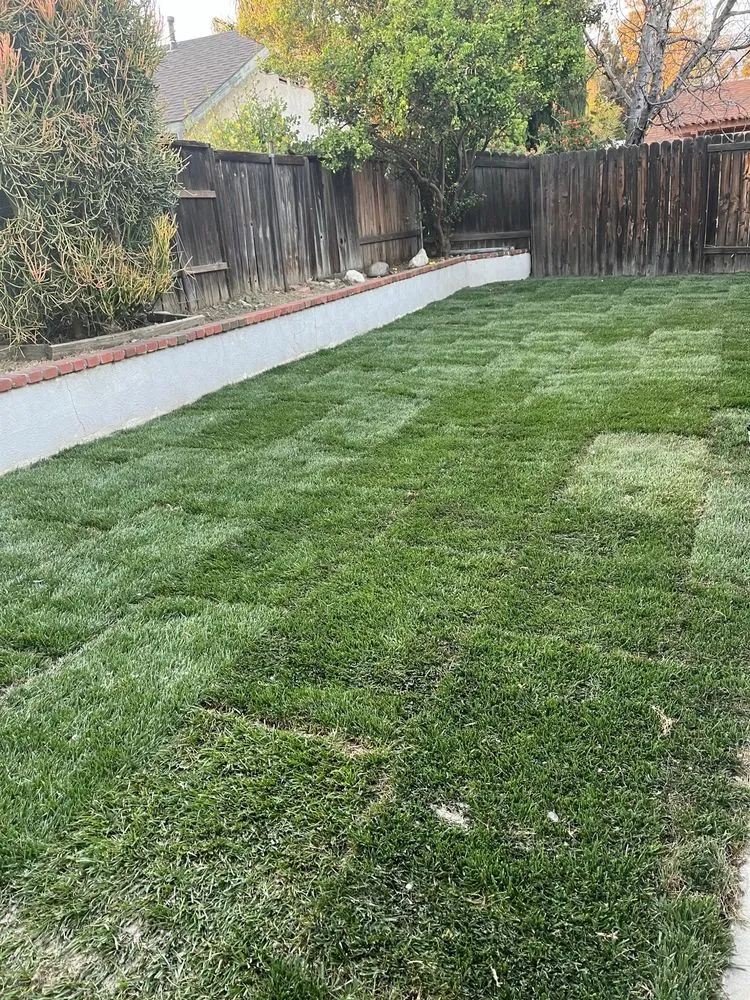 Expert landscaping services experts serving Rialto, CA - Duran Jr Landscape & Lawn