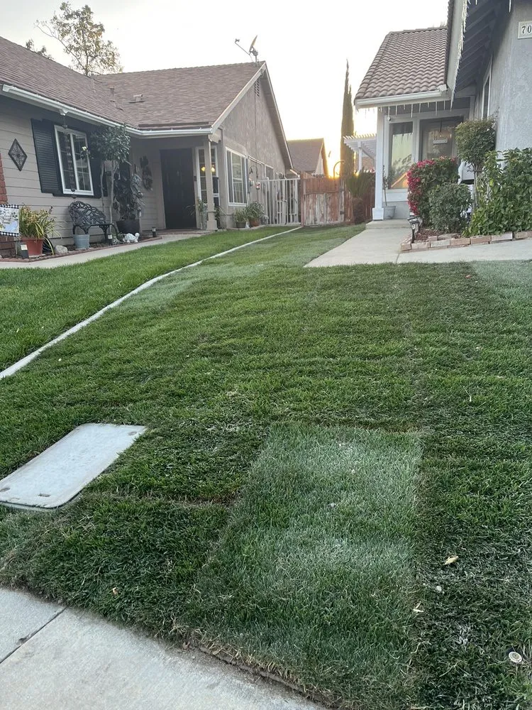 Expert landscaping services experts serving Rialto, CA - Duran Jr Landscape & Lawn