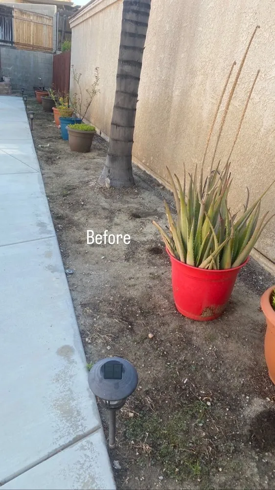 Professional yard maintenance experts serving Rialto, CA - Duran Jr Landscape & Lawn