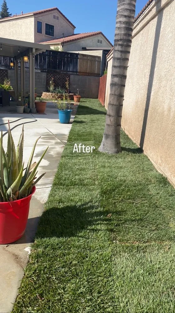 Professional landscape installation in Rialto, CA by Duran Jr Landscape & Lawn