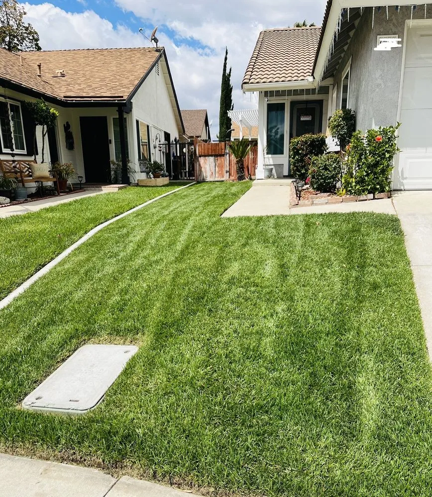Custom lawn care service in Rialto, CA by Duran Jr Landscape & Lawn