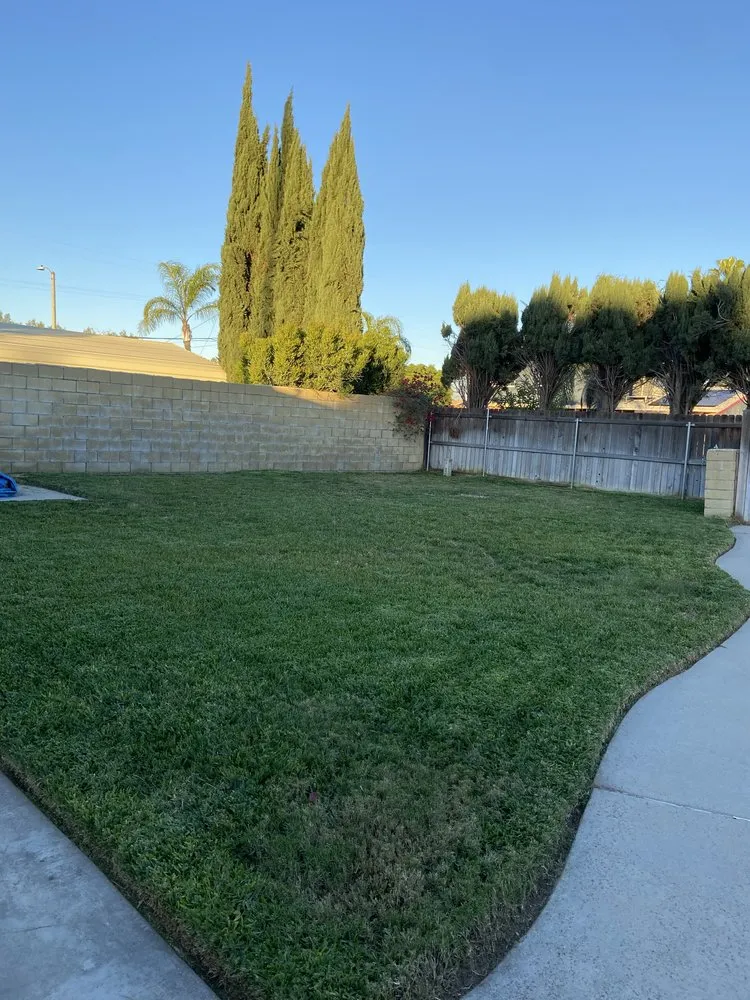 Top-rated lawn care service with custom design in Rialto, CA by Duran Jr Landscape & Lawn