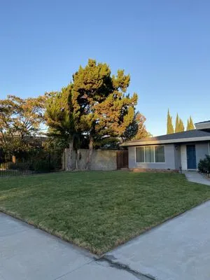 Duran Jr Landscape & Lawn