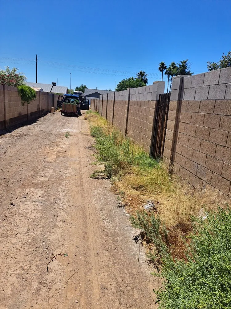 Professional yard cleanup service experts serving Phoenix, AZ - Duran landscape