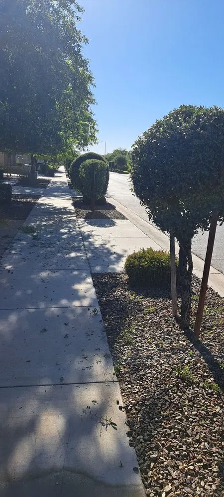 Reliable lawn care service experts serving Phoenix, AZ - Duran landscape