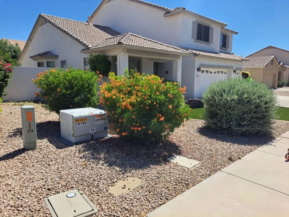 Expert yard cleanup service for year-round maintenance in Phoenix, AZ by Duran landscape