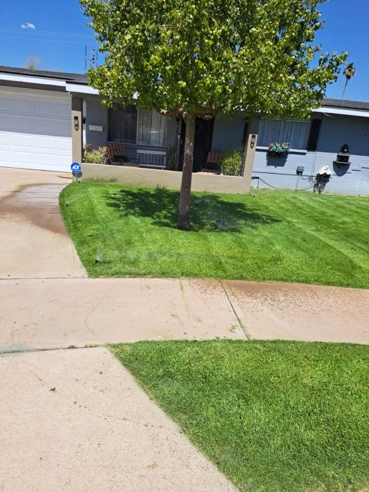 Local landscape design for residential properties across Phoenix, AZ - Duran landscape