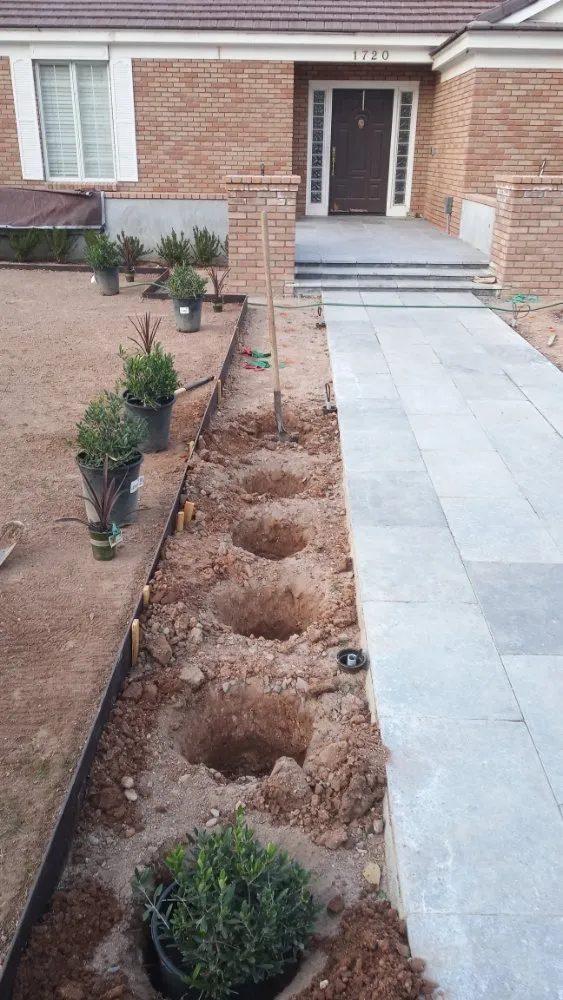 Expert lawn care service experts serving Phoenix, AZ - Duran landscape