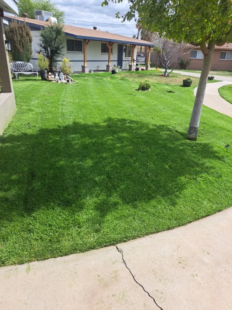 Professional landscaping services experts serving Phoenix, AZ - Duran landscape