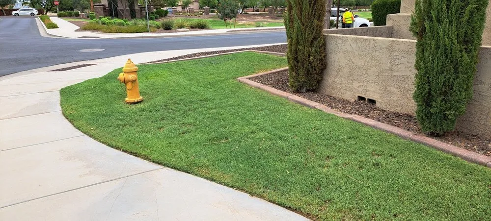 Top-rated outdoor landscaping in Phoenix, AZ - Duran landscape