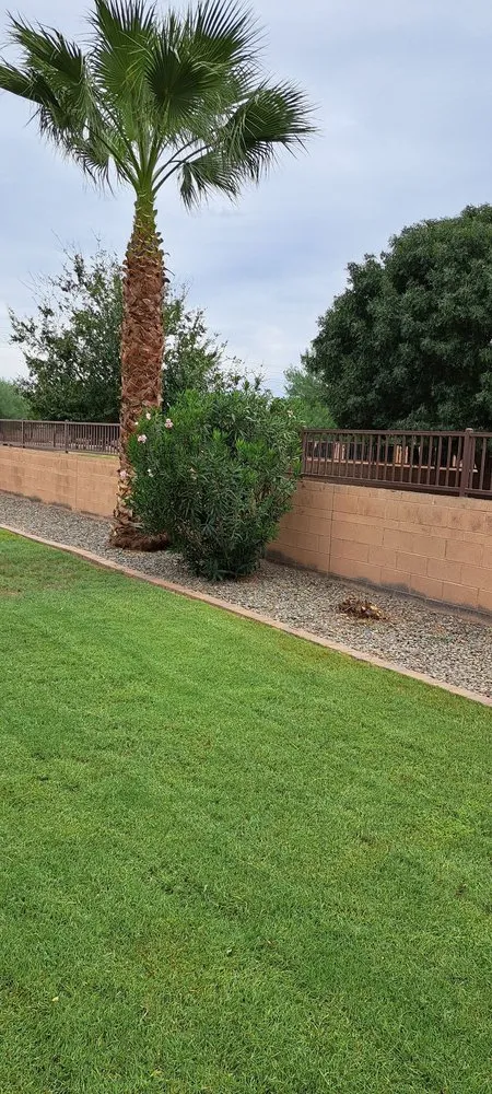 Professional lawn mowing service with custom design across Phoenix, AZ - Duran landscape