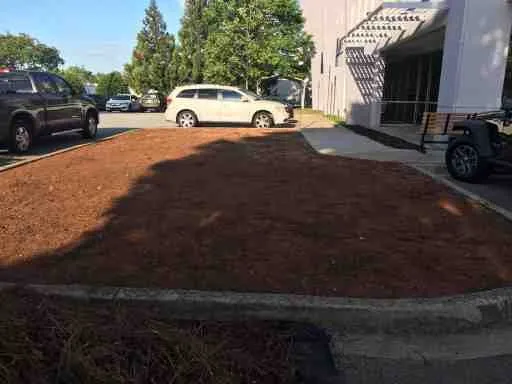Affordable yard cleanup service in Buford, GA by Duran Landscaping