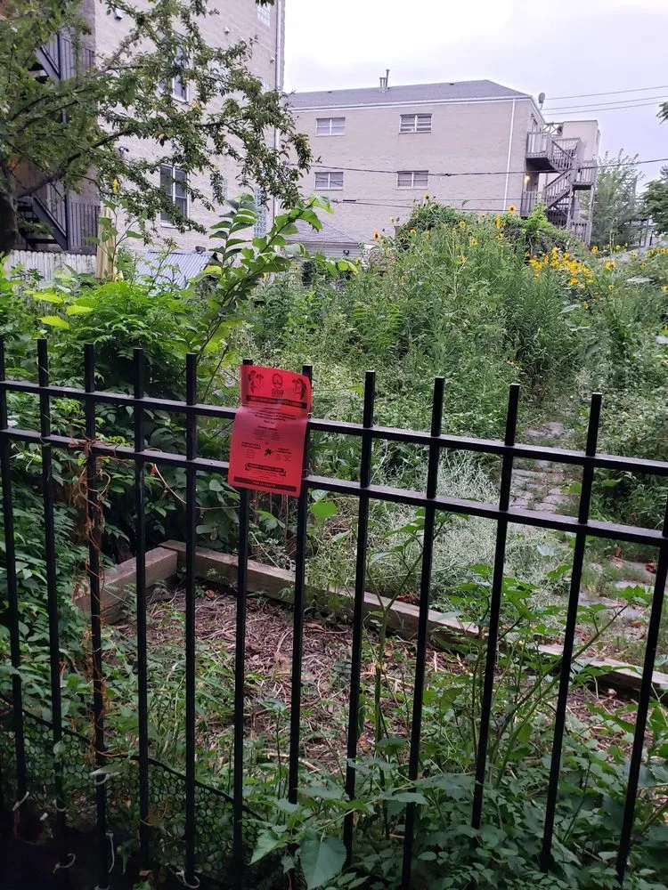 Expert yard cleanup service near you across Chicago, IL - Duran Landscaping