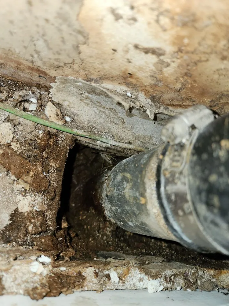 Reliable yard cleanup service experts serving Albuquerque, NM - Duran Landscaping, Cleaning and Handyman Services