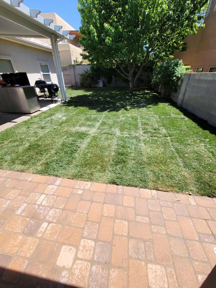 Top-rated landscaping services in Albuquerque, NM - Duran Landscaping, Cleaning and Handyman Services