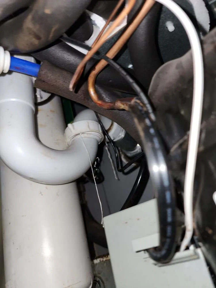 Top-rated residential landscaping experts serving Albuquerque, NM - Duran Landscaping, Cleaning and Handyman Services