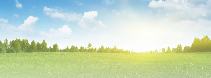 Affordable residential landscaping in Loomis, CA - Duran Landscaping