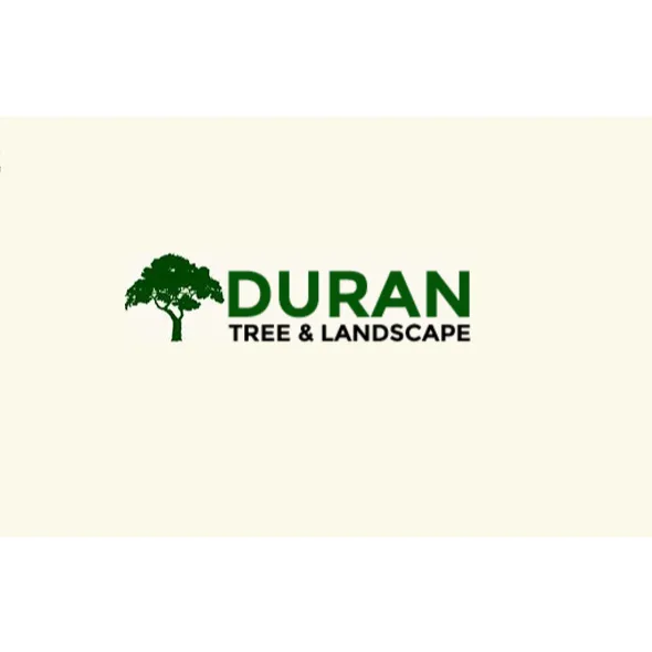 Expert lawn mowing service in Marston Mills, MA by Duran Tree & Landscape