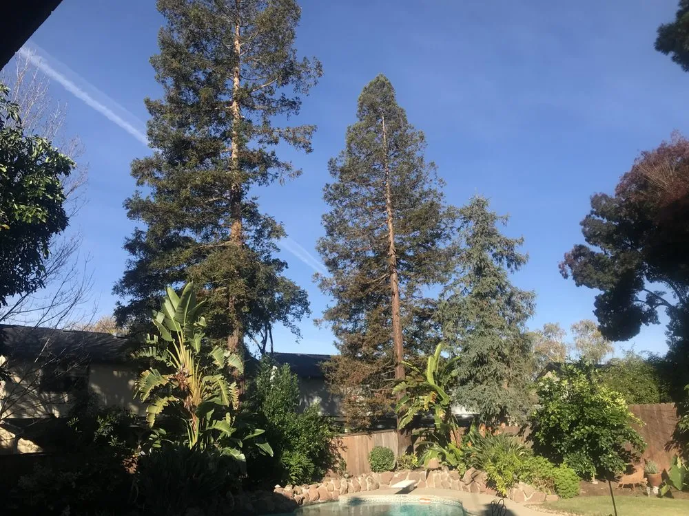 Trusted garden landscaping for outdoor upgrades across Lodi, CA - Duran Tree and Yard Service