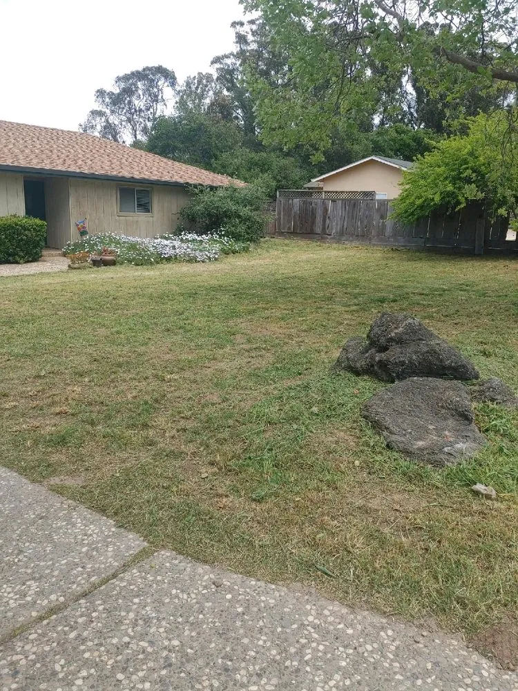 Custom outdoor landscaping in Watsonville, CA by Duran's Go Landscaping