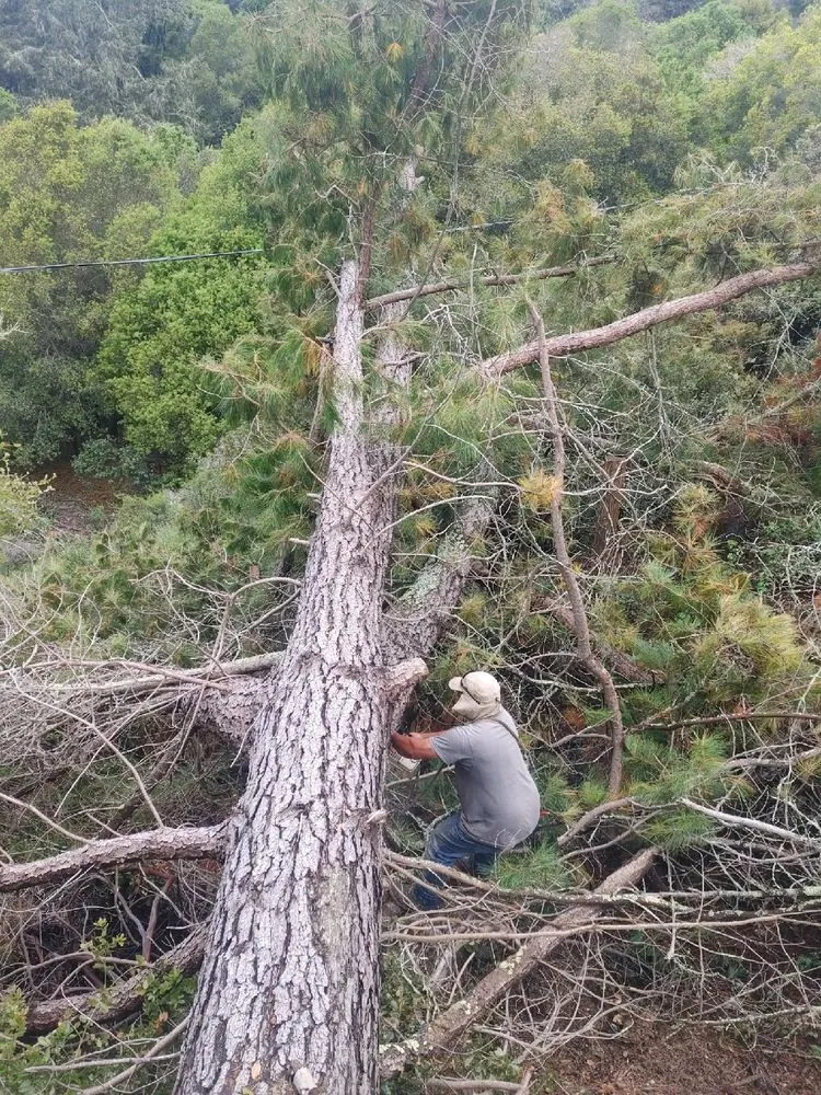 Affordable yard maintenance in Watsonville, CA - Duran's Go Landscaping