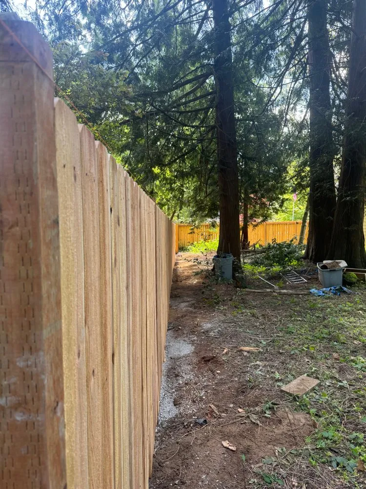 Expert yard cleanup service experts serving Arlington, WA - Durans Landscaping Services