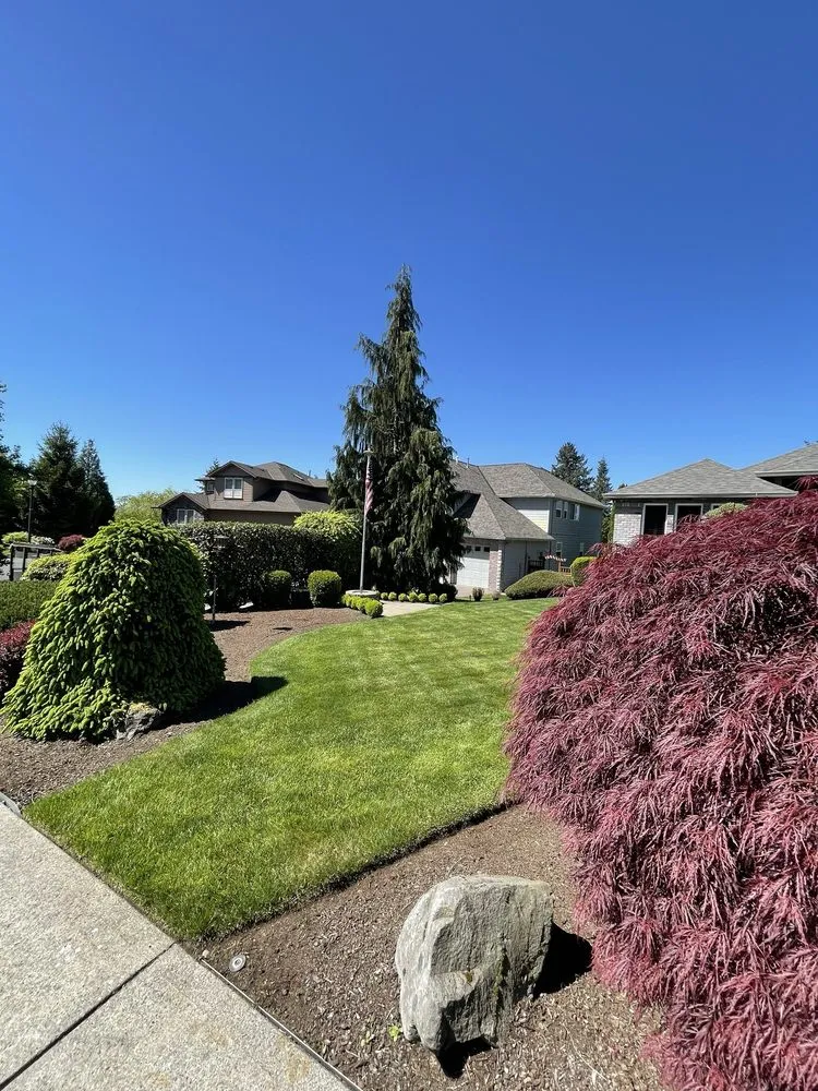 Trusted yard cleanup service for beautiful yards across Washougal, WA - Duran's Landscaping