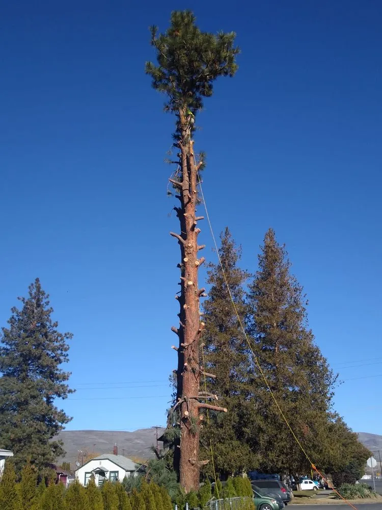 Affordable landscape design in Yakima, WA - Duran's Tree Service