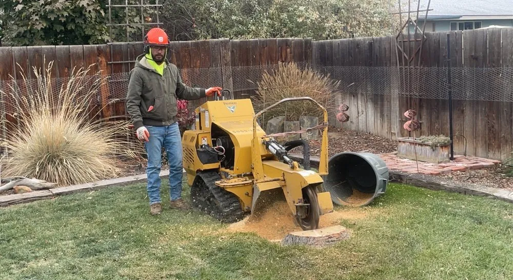 Reliable yard maintenance for year-round maintenance in Yakima, WA by Duran's Tree Service