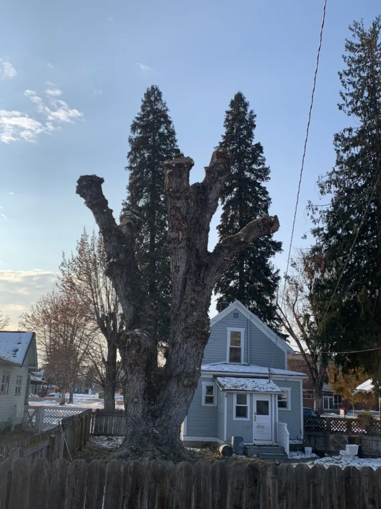 Custom landscape installation for homes across Yakima, WA - Duran's Tree Service