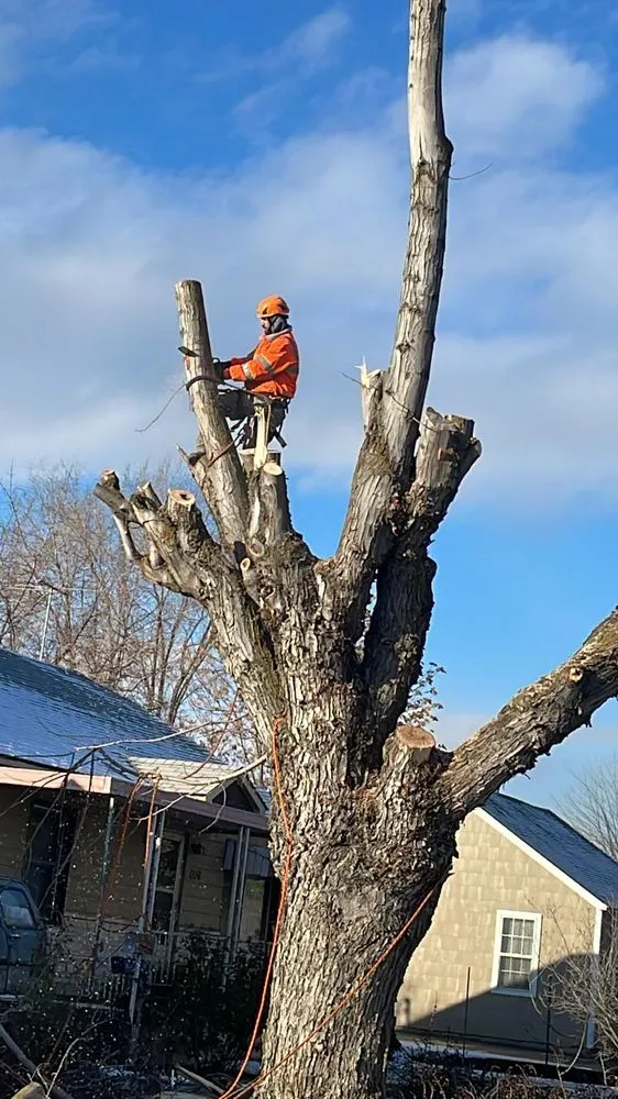 Top-rated yard maintenance for year-round maintenance across Yakima, WA - Duran's Tree Service