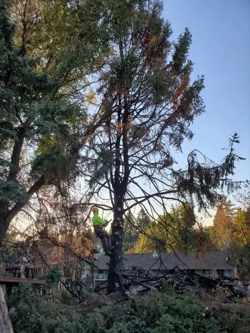 Reliable lawn mowing service with custom design in Yakima, WA by Duran's Tree Service