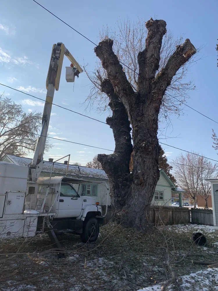 Affordable lawn mowing service with custom design in Yakima, WA by Duran's Tree Service