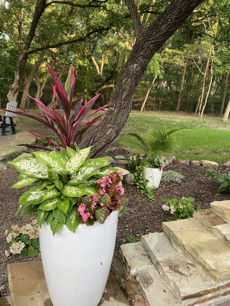 Local lawn mowing service near you across McKinney, TX - Durascapes